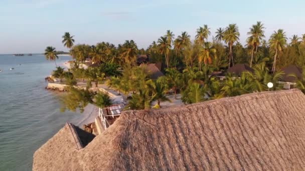 Paradise Coast Resort with Palm Trees and Hotels by Ocean, Zanzibar, Aerial view — стокове відео