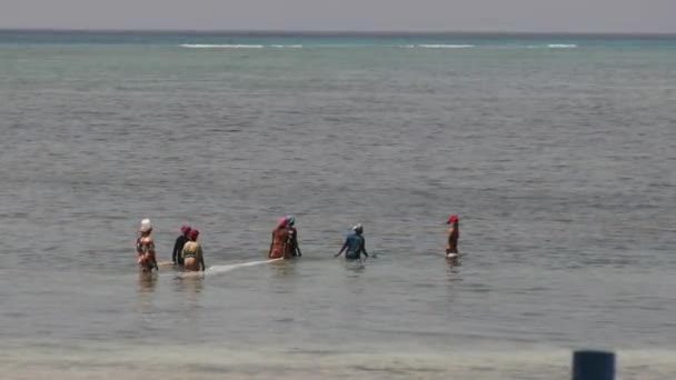 Groep Afrikaanse vrouwen vangst van vis, zeevruchten met behulp van visnet in de oceaan, Zanzibar — Stockvideo