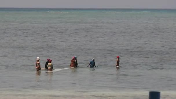 Grupo Mulheres africanas captura peixes, frutos do mar usando rede de pesca no oceano, Zanzibar — Vídeo de Stock