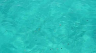Turkuaz Su Yüzeyi Azure Okyanusu, Zanzibar, Mnemba