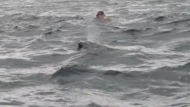 Masked Man nage avec des dauphins dans l'océan ouvert, Zanzibar, Tanzanie — Video