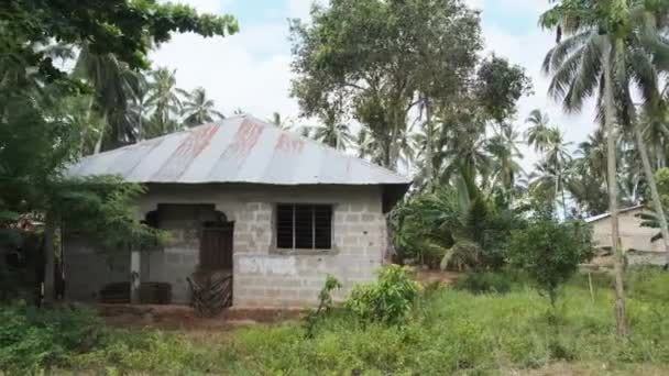 Guidare passato villaggi africani lungo la strada della giungla con palme, Zanzibar — Video Stock