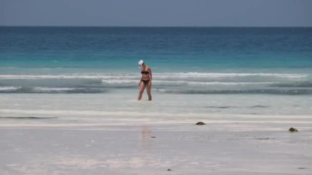 Une jeune femme en maillot de bain noir se promène dans l'océan Turquoise sur Paradise Beach — Video