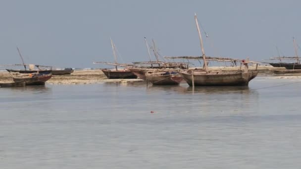 Lote de madera africana barco de pesca varado en arena en la playa, marea baja, Zanzíbar — Vídeos de Stock