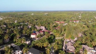 Paradise Coast Resort with Palm Trees and Hotels by Ocean, Zanzibar, Aerial view
