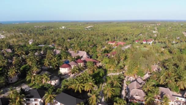 Paradise Coast Resort Palm Trees és szállodák Ocean, Zanzibar, Aerial View — Stock videók