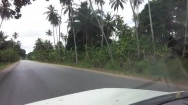 Palmiye ağaçları ve yeşil bitki örtüsü olan Afrika ormanları, sürücü arabasından manzara, Zanzibar