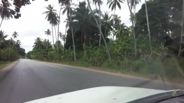 Afrykańskie lasy z palmami i zielenią, widok z samochodu, Zanzibar — Wideo stockowe