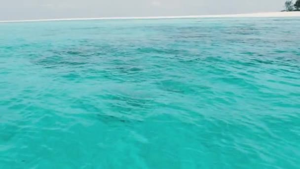 Turkoois water oppervlak met het zuiverste water in Azure Ocean, Zanzibar, Mnemba — Stockvideo