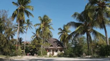 Thatched Roof Bungalovları ve Palm Trees, Zanzibar 'ı olan tropikal Afrika Oteli