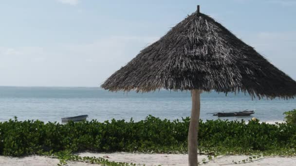 Ombrello di paglia sulla spiaggia di sabbia vicino all'oceano, Ombrellone di paglia Zanzibar, Africa — Video Stock