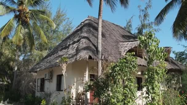 Trópusi Afrikai Hotel Thatched Tetőtéri bungalókkal és pálmafákkal, Zanzibár — Stock videók