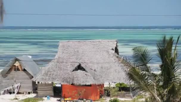 African Traditional House with Thatched Roof on the Beach at Low Tide. Zanzibar — Stock Video