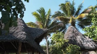 Thatched Roof Bungalovları ve Palm Trees, Zanzibar 'ı olan tropikal Afrika Oteli
