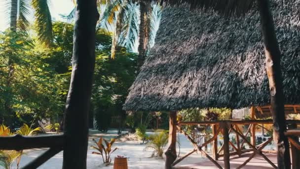 Tropisch Afrikaans hotel met Thatched Roof Bungalows en palmbomen, Zanzibar — Stockvideo