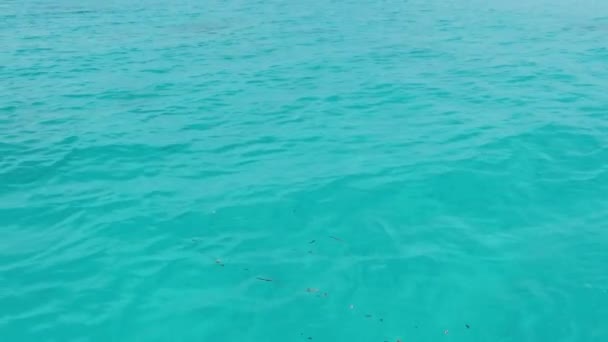 Turkoois water oppervlak met het zuiverste water in Azure Ocean, Zanzibar, Mnemba — Stockvideo