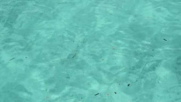 Turkoois water oppervlak met het zuiverste water in Azure Ocean, Zanzibar, Mnemba — Stockvideo