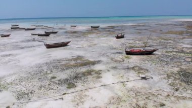 Birçok balıkçı teknesi Low Tide, Zanzibar, Hava Manzarası 'nda Kum Kıyısı' nda sıkışıp kaldı.