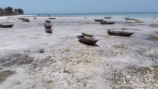 Mnoho rybářských lodí uvízlých v písku u pobřeží při odlivu, Zanzibar, letecký pohled — Stock video