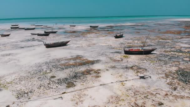 Muchos barcos de pesca atrapados en la arena frente a la costa en la marea baja, Zanzíbar, Vista aérea — Vídeos de Stock