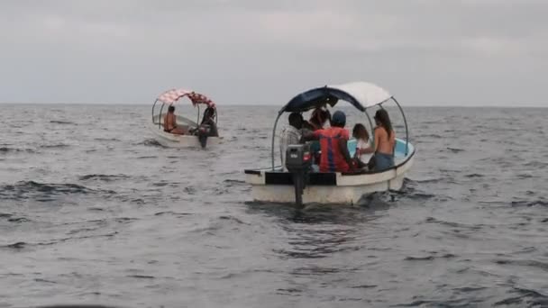 Ausflugsboote mit Touristen im offenen Ozean auf der Suche nach Delfinen, Sansibar — Stockvideo