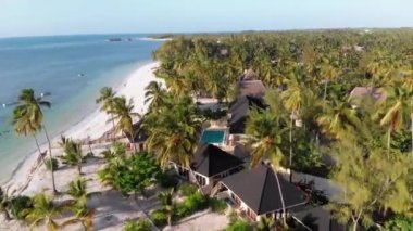Paradise Coast Resort with Palm Trees and Hotels by Ocean, Zanzibar, Aerial view