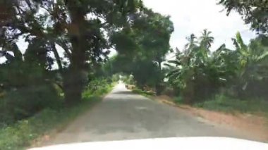 Palmiye ağaçları ve yeşil bitki örtüsü olan Afrika ormanları, sürücü arabasından manzara, Zanzibar