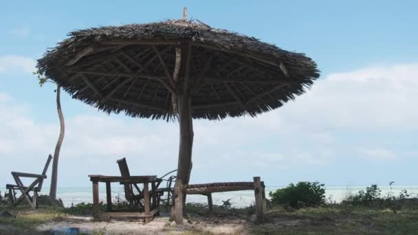 Tropiska Däck Stolar Under Thatched Paraplyer på Sandy Beach by Ocean, Zanzibar — Stockvideo