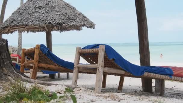 Tropiska Däck Stolar Under Thatched Paraplyer på Sandy Beach by Ocean, Zanzibar — Stockvideo