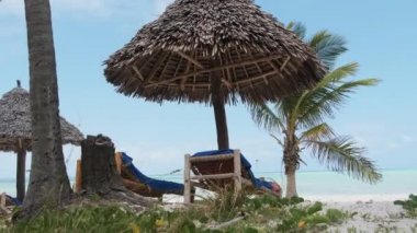 Ocean, Zanzibar 'ın Sandy Tropical Plajında Thatched Şemsiyeleri ve Güneş Salonları