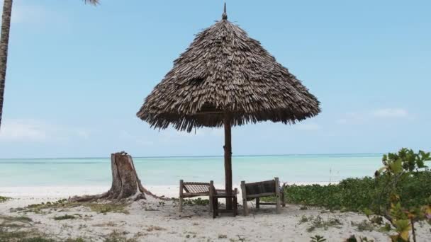 Židle na tropických palubách pod deštníky na písečné pláži u oceánu, Zanzibar — Stock video