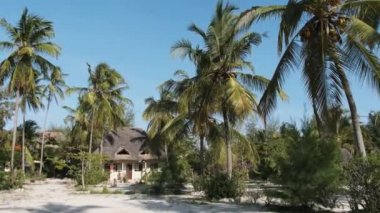 Thatched Roof Bungalovları ve Palm Trees, Zanzibar 'ı olan tropikal Afrika Oteli