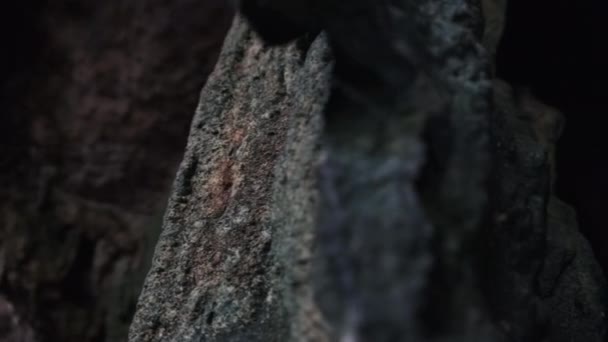 Unterirdische Höhle mit Tropfsteinformationen, die von der Decke der Kuza-Höhle hängen — Stockvideo