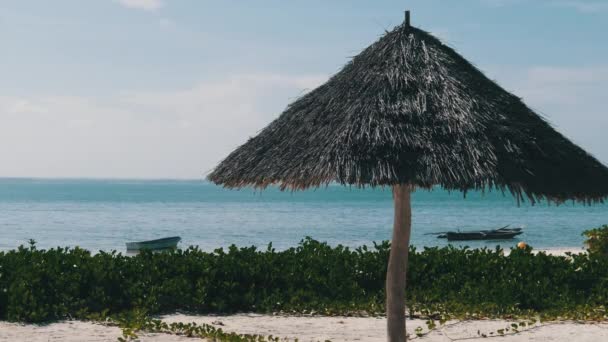 San Beach by Ocean, Straw Parasol Zanzibar, Africa — 비디오
