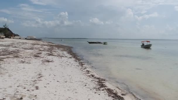 Strand mit Algen und tropische Küste mit Hotels bei Ebbe Sansibar, Pingwe — Stockvideo