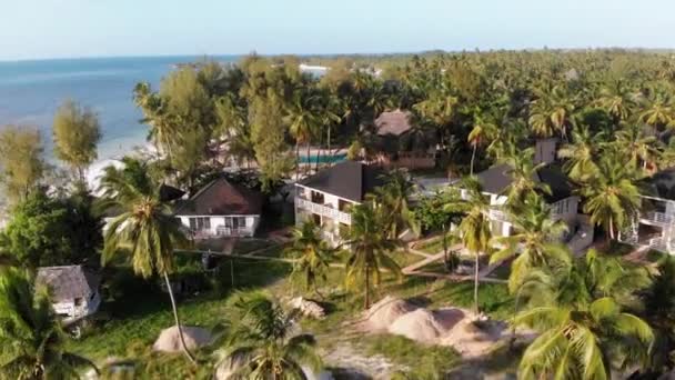 Paradise Coast Resort with Palm Trees and Hotels by Ocean, Zanzibar, Aerial view — Stock video