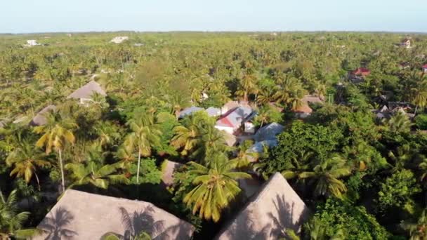 Aerial view African Tropical Beach Resort, Thatched-Roof Hotels, Pools, Zanzibar — 图库视频影像