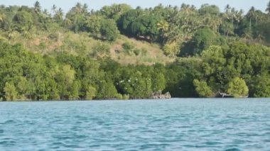 Kuş sürüsü, orman, palmiye, resif ve okyanus ile bozulmamış Zanzibar Sahili