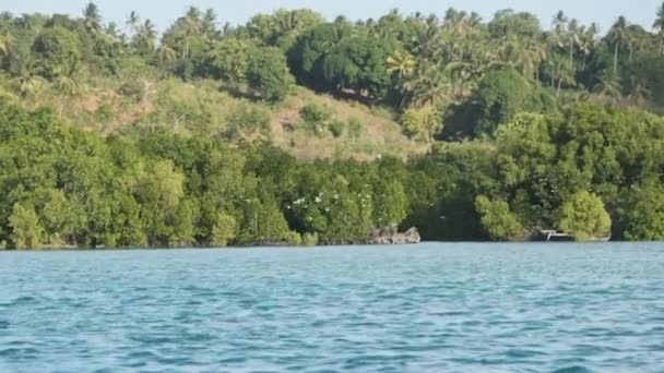 Nezkažené pobřeží Zanzibaru s hejnem ptáků, lesů, palem, útesů a oceánu — Stock video