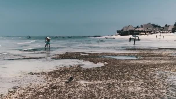 Piaszczysta plaża z algami w pobliżu Turkusowego Oceanu w Zanzibarze przy odpływie, Zanzibar — Wideo stockowe