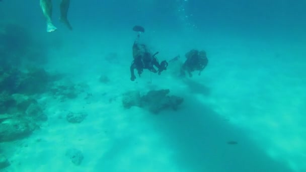 Dykning vid korallrev botten för att se korall fisk, turister Dyk, Zanzibar — Stockvideo