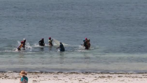 Skupina africké ženy chytání ryb, mořské plody pomocí rybářské sítě v oceánu, Zanzibar — Stock video