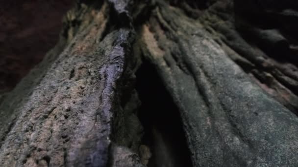 Grotte souterraine avec des formations rocheuses stalactites suspendues au plafond de la grotte de Kuza — Video