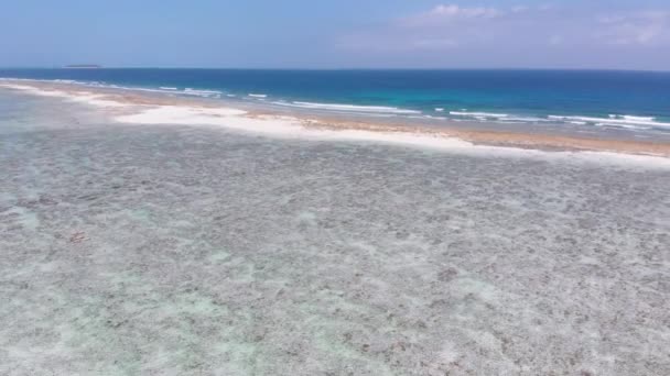 Ocean Coastline and Barrier Reef at Low Tide, Zanzibar, Matemwe, Widok z powietrza — Wideo stockowe