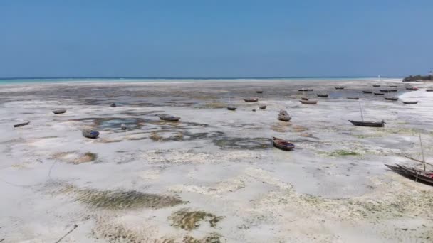 Mnoho rybářských lodí uvízlých v písku u pobřeží při odlivu, Zanzibar, letecký pohled — Stock video