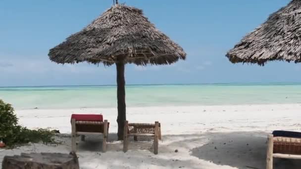 Tropical Deck Chairs Under Thatched Umbrellas at Sandy Beach by Ocean, Zanzibar — стокове відео
