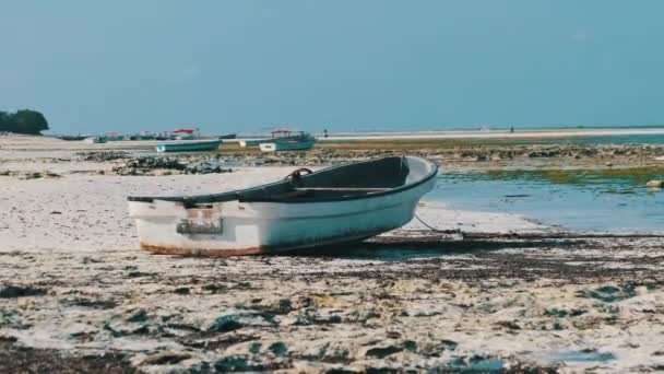 Много африканских рыбацких лодок застряло в песке у берега у Лоу Тайд, Занзибар — стоковое видео