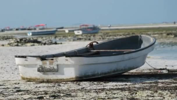 Beaucoup de bateaux de pêche africains échoués dans le sable au large de la côte à marée basse, Zanzibar — Video