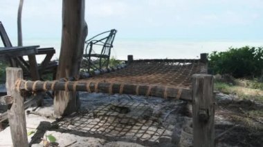 Okyanus kıyısındaki Sandy Coast, Zanzibar 'da Plaj Şemsiyesi Altında Tropikal Güverte Sandalyeleri