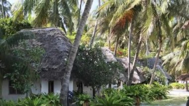 Okyanus, Zanzibar, Paje 'nin kıyısındaki Palm Groves' daki Thatched Roofs 'lu Tropik Plaj Oteli